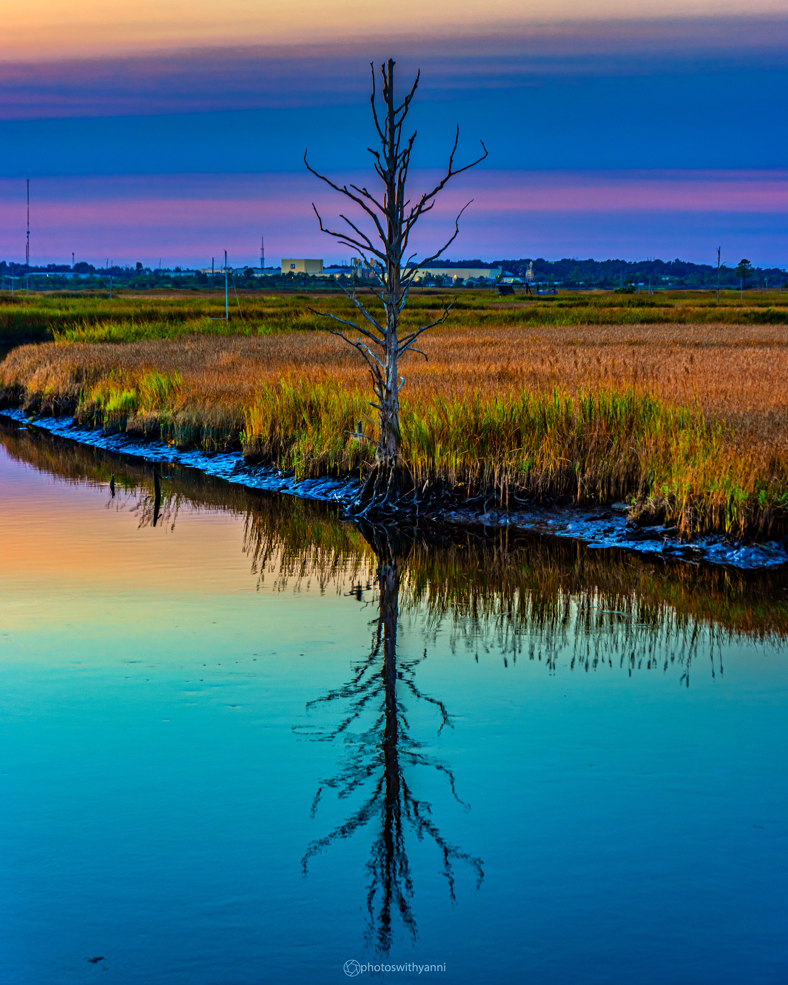 Standing Water